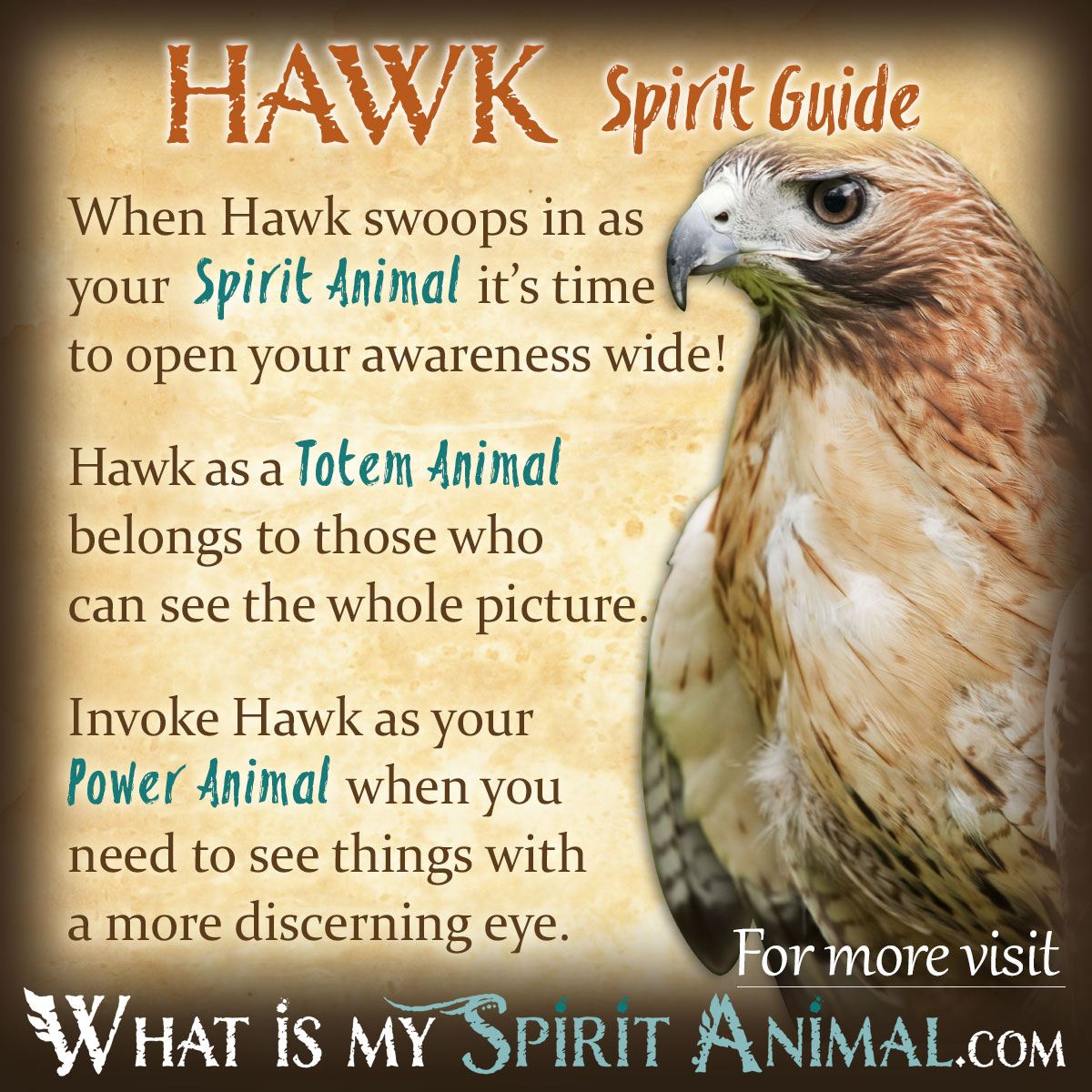 3 Hawks Circling: Um mergulho profundo no simbolismo espiritual